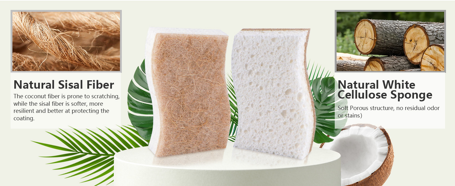 natural sponges
