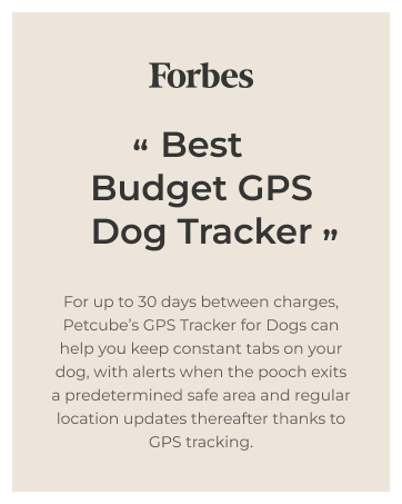 Petcube GPS Tracker 2025