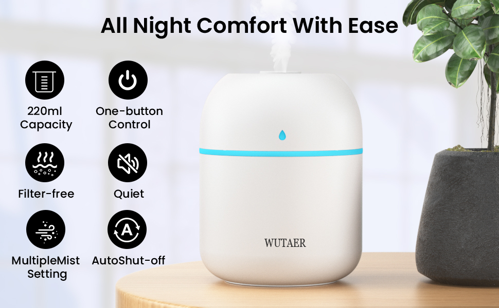 Portable Small Humidifier