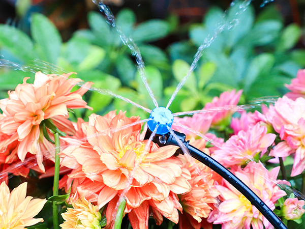 quick connect drip irrigation system