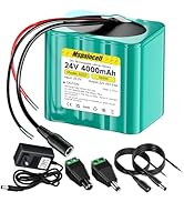 Mspalocell 24V 4Ah Rechargeable Lithium Replacement Battery with Charger Bare Leads Wires Compati...