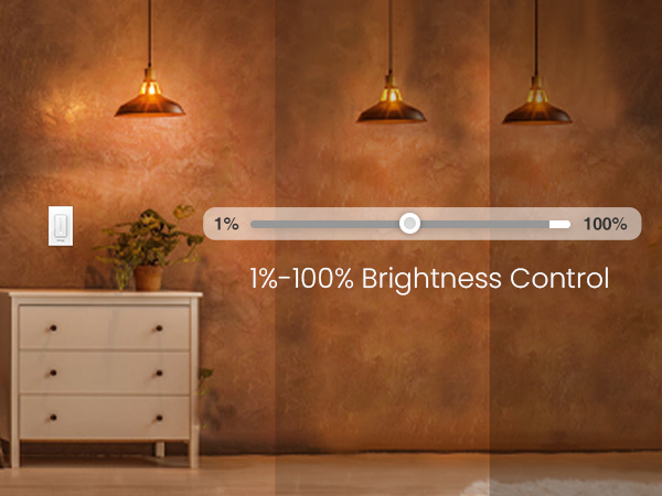 smart dimmer switch