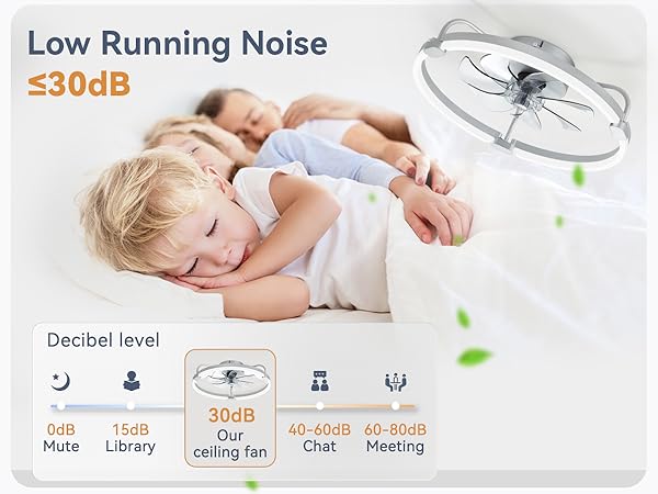 modern ceiling fan with light