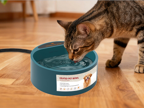Cat Bowl