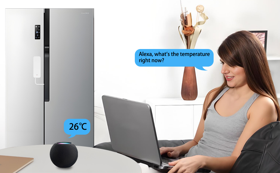 large meter air cigar monitoring probe reader remote temperatura tester therm alarm best door inside