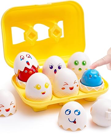 egg matching toy