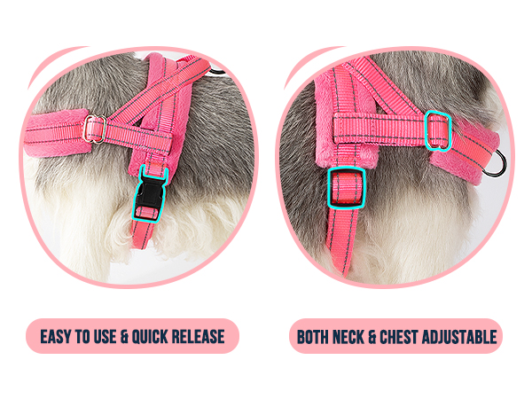 Walking Dog Harness and Leash Set