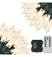 Green Convenience Christmas Lights 105ft 300 LED Battery String Lights with Timer Memory Function...