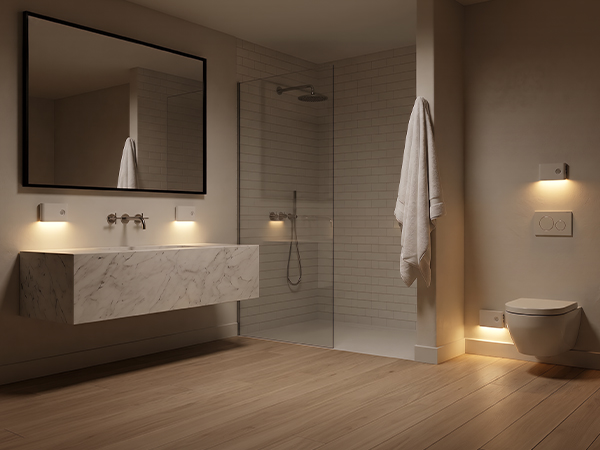 motion sensor toilet light