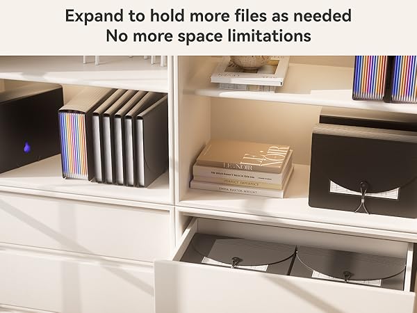 ThinkTex Expanding File Folder 12 Pockets Accordion File Organizer