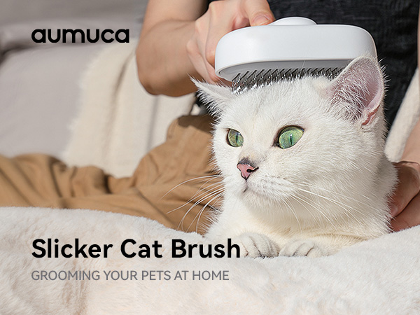 cat brush for indoor cats