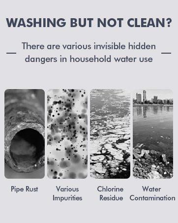 filtered shower head