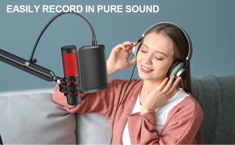 microphone shield