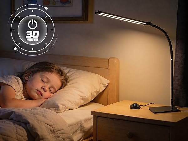 LED Desk Lamp with Base, Double Head Smart Desk Light with Controller Table Lamp for Home Office