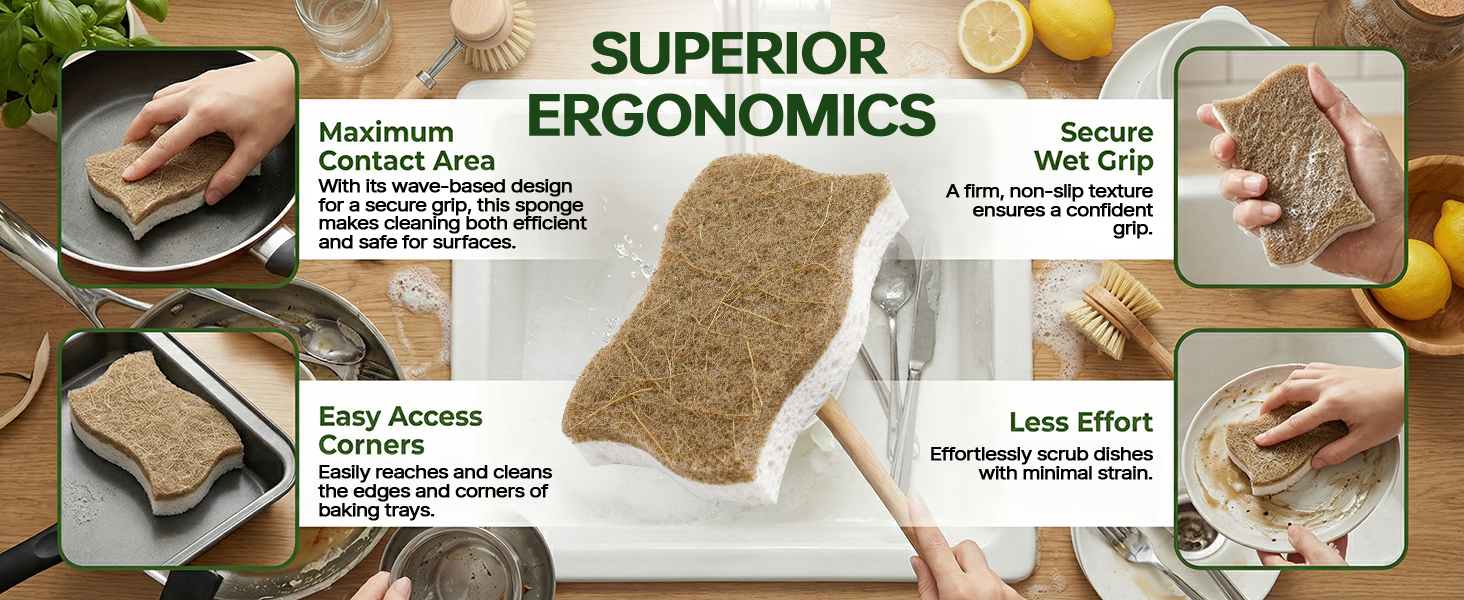 kitchen dish sponges