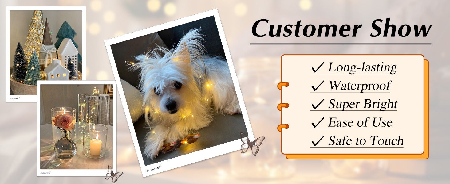 fairy lights battery operated