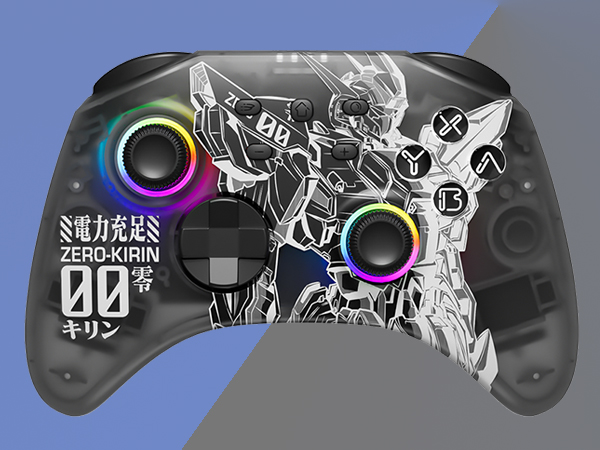 nintendo switch controller RGB