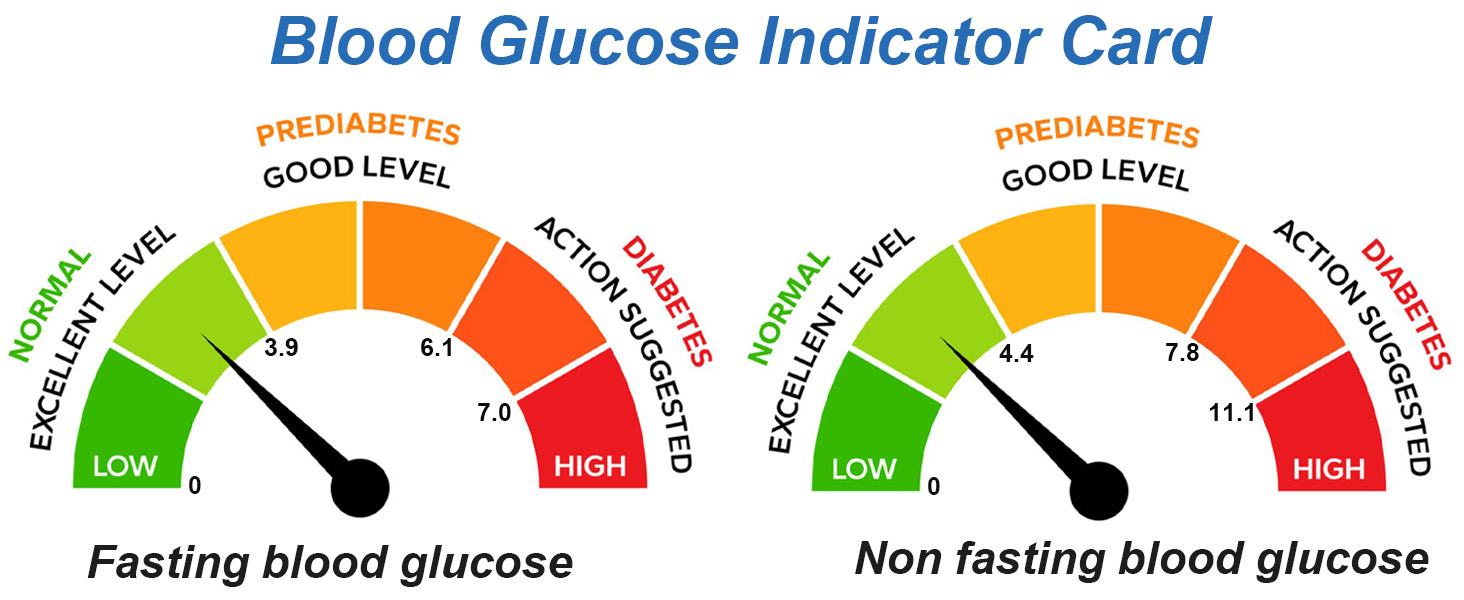 blood sugar monitor diabetes testing kit
