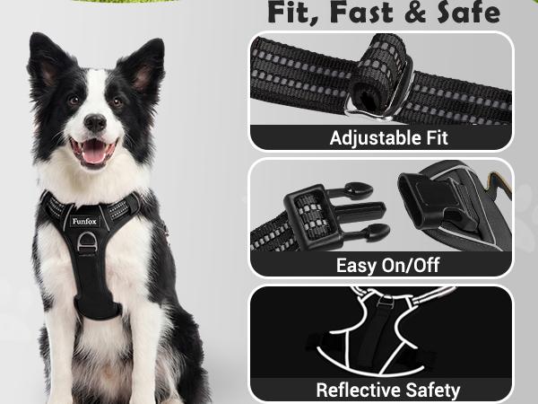 Text reads 'Fit, Fast &amp; Safe', 'Adjustable Fit', 'Easy On/Off', 'Reflective Safety'. Border Collie wearing black harness alongside product feature illustrations showing harness details.