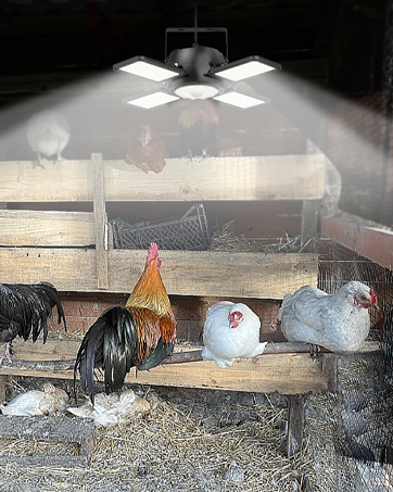 solar lights for garage and shed