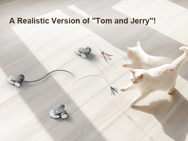 Interactive Cat Toy