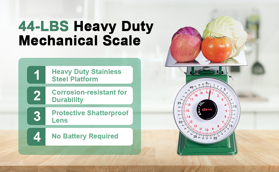 scale control scale for food ounces and grams