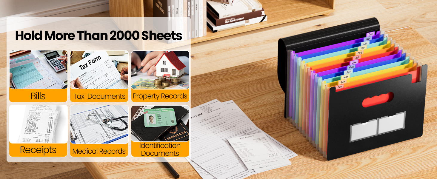 Accordion File Organizer