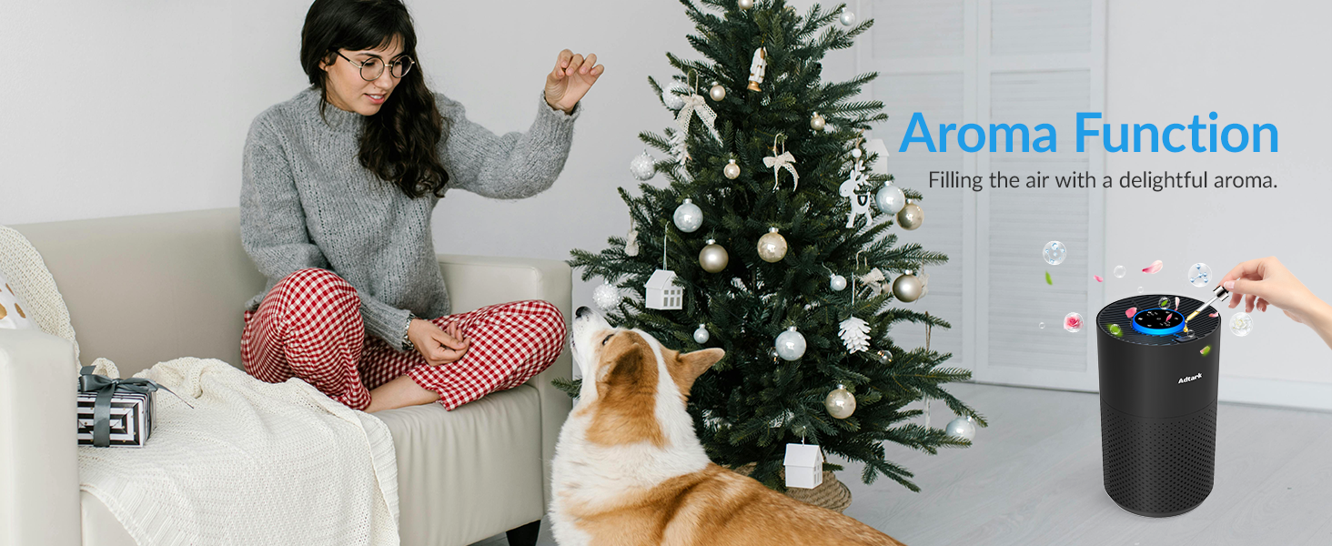 air purifier for home