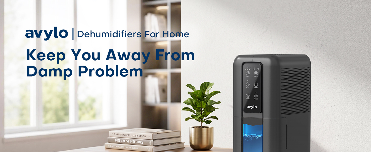 Dehumidifier