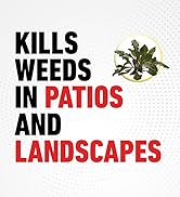 Ortho GroundClear Weed and Grass Killer with Comfort Wand, Kills weeds in patios and landscapes