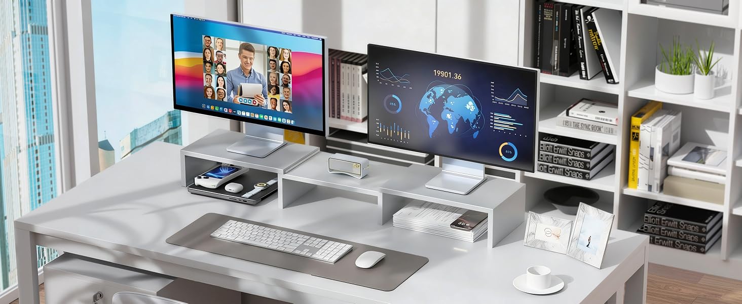 Dual monitor stand