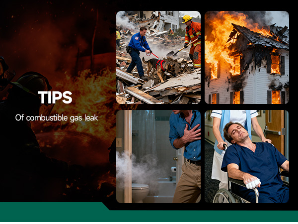 Natural Gas Leak Detector, Propane/Methane/Combustible Gas Detector, Home/RV Gas Leak Detector