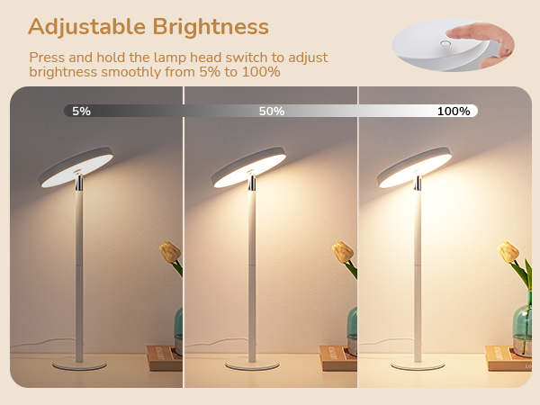 Adjustable Brightness
