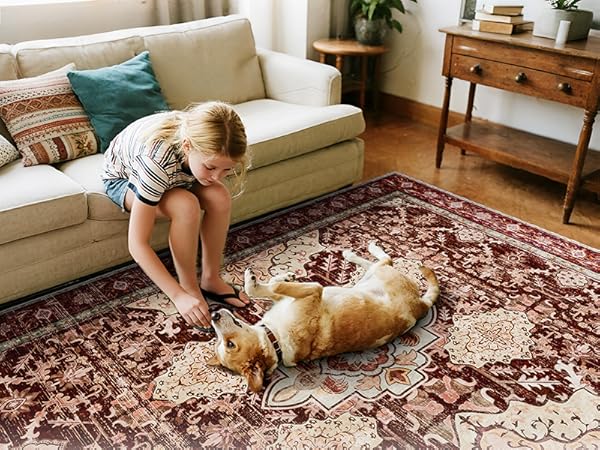 area rugs for living room