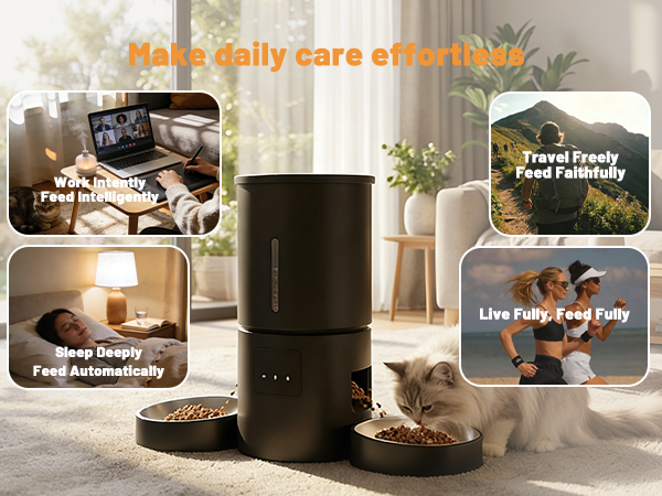 cat automatic feeders 2 cats