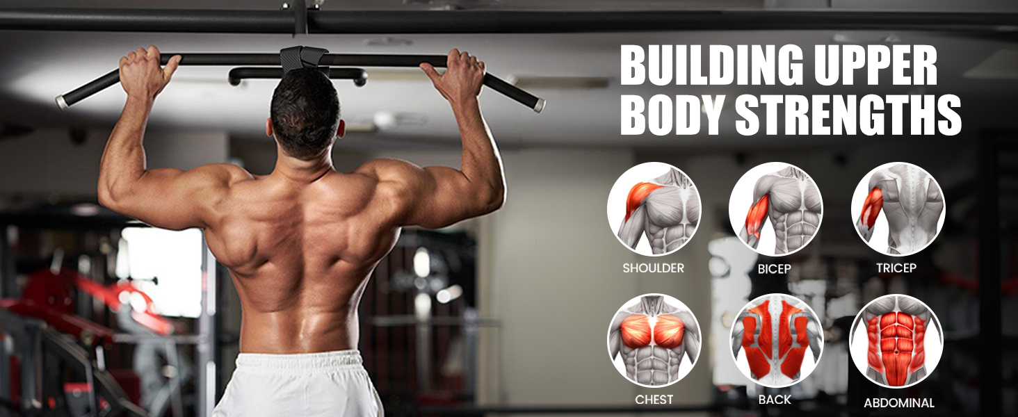 pull up assistance bands