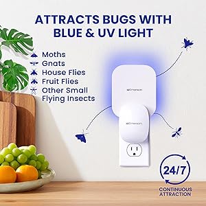 attracts bugs with UV light
