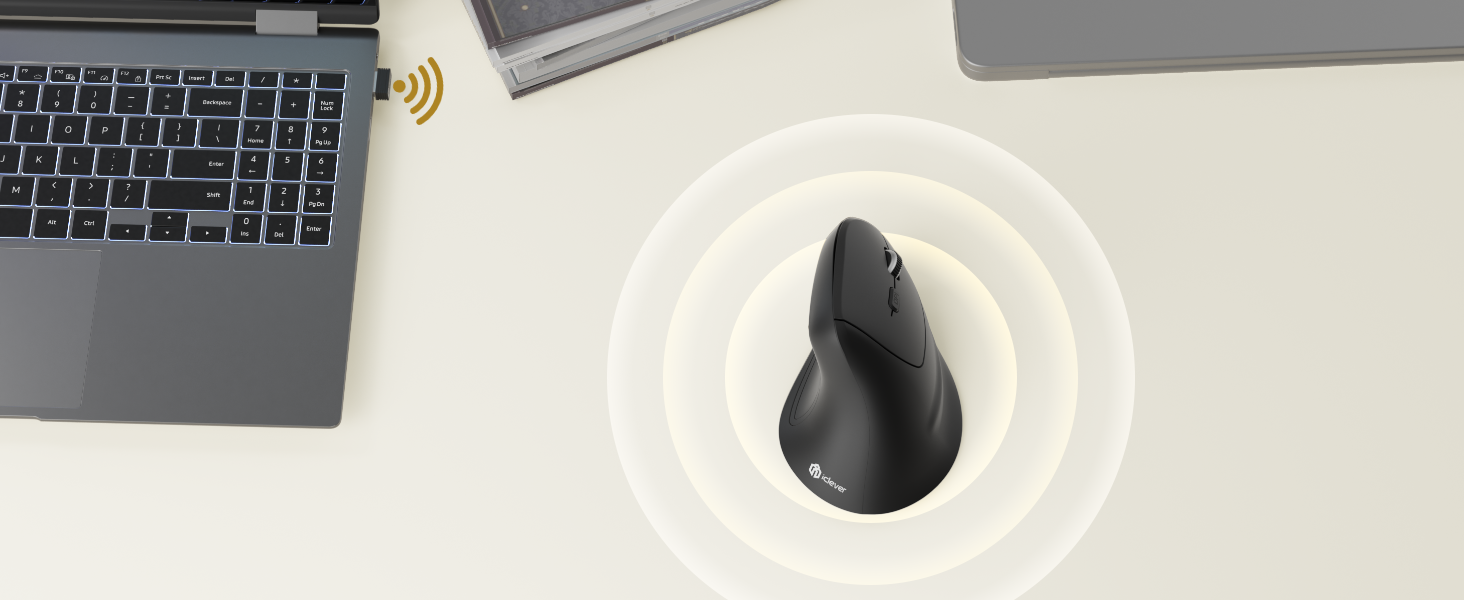 Ergonomic Mouse