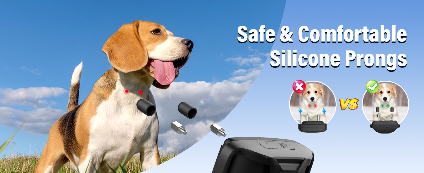 dog training collar