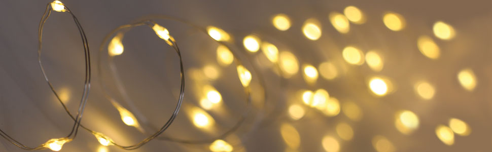 Battery powered Christmas lights vase, plant, table