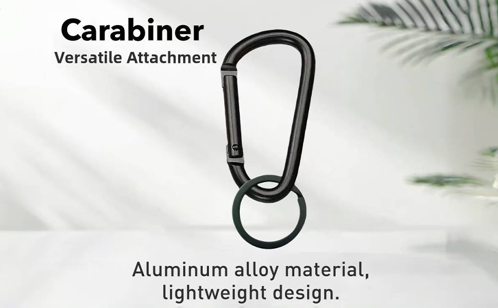 Carabiner