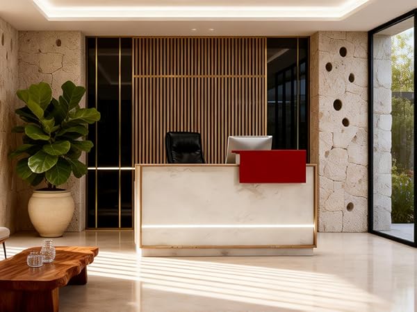 Modern Reception Desk with Counter