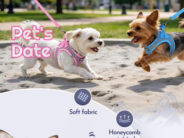 dog harness small dog