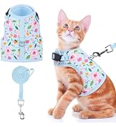 BINGPET Cat Harness and Leash Set Escape Proof for Walking,Step-in Harness with Lightweight Soft ...