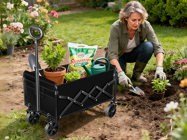 wagon carts