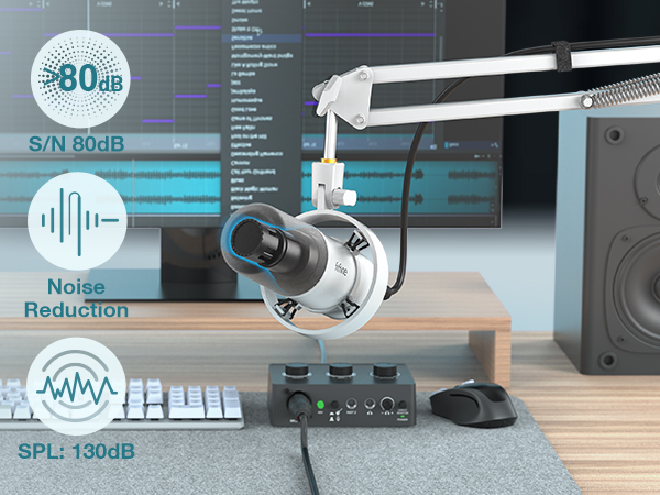 xlr/usb podcast mic set