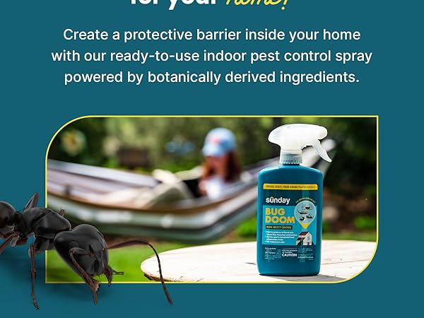 Sunday Indoor Bug Doom