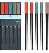 Japanese Style 5 Pairs Fiberglass Chopsticks-Reusable Chopsticks Dishwasher Safe, 9.57 inch/24.3c...