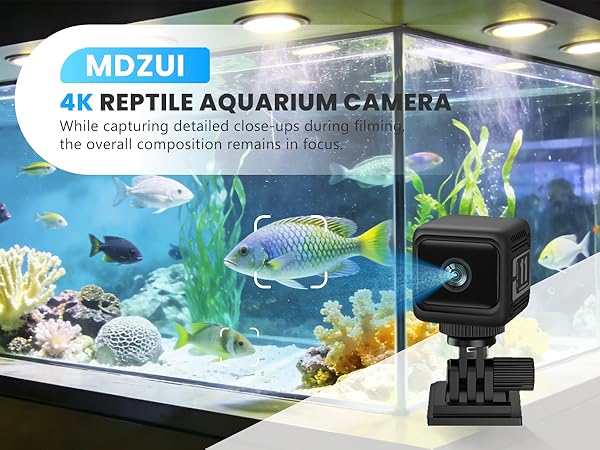 Cameras for home security