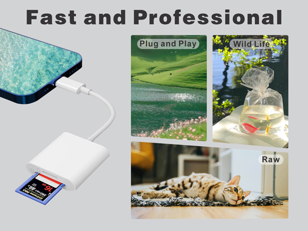 camera memory card reader